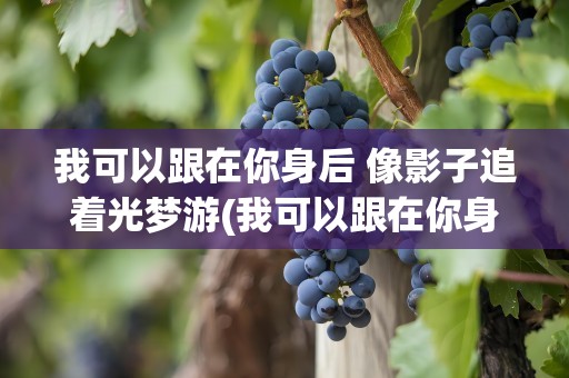 我可以跟在你身后 像影子追着光梦游(我可以跟在你身后 像影子追着光梦游文案)
