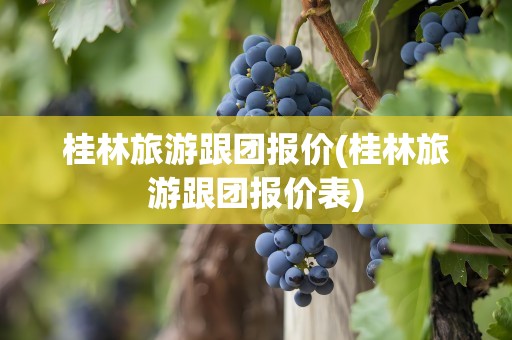 桂林旅游跟团报价(桂林旅游跟团报价表)