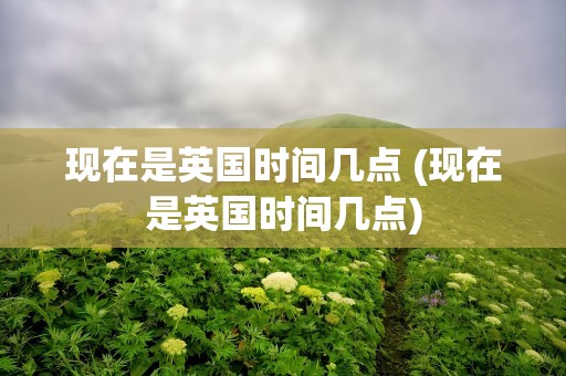 现在是英国时间几点 (现在是英国时间几点)