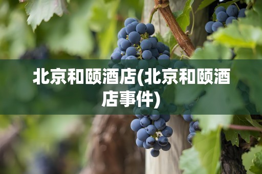 北京和颐酒店(北京和颐酒店事件)
