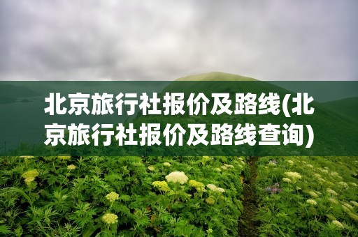 北京旅行社报价及路线(北京旅行社报价及路线查询)