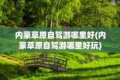 内蒙草原自驾游哪里好(内蒙草原自驾游哪里好玩)