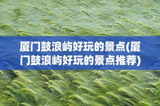 厦门鼓浪屿好玩的景点(厦门鼓浪屿好玩的景点推荐)