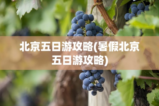 北京五日游攻略(暑假北京五日游攻略)
