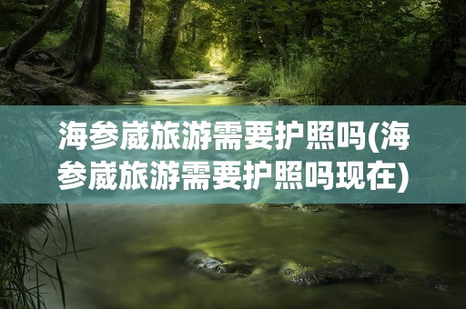 海参崴旅游需要护照吗(海参崴旅游需要护照吗现在)