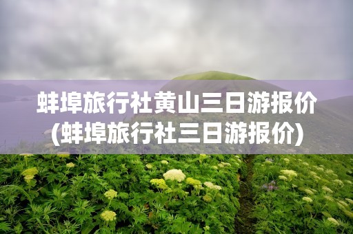 蚌埠旅行社黄山三日游报价(蚌埠旅行社三日游报价)