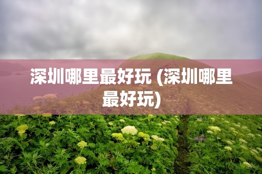 深圳哪里最好玩 (深圳哪里最好玩)