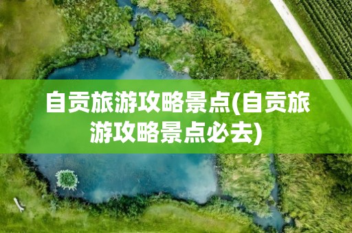 自贡旅游攻略景点(自贡旅游攻略景点必去)