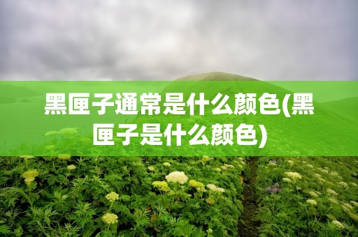 黑匣子通常是什么颜色(黑匣子是什么颜色)