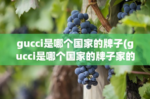 gucci是哪个国家的牌子(gucci是哪个国家的牌子家的)