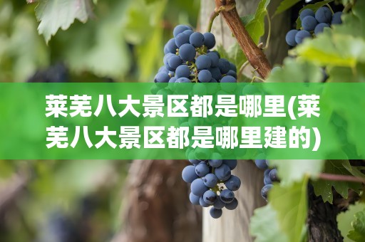 莱芜八大景区都是哪里(莱芜八大景区都是哪里建的)