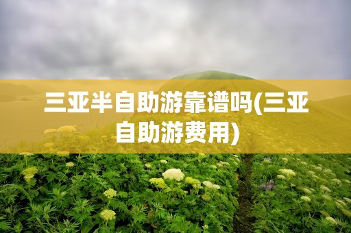 三亚半自助游靠谱吗(三亚自助游费用)