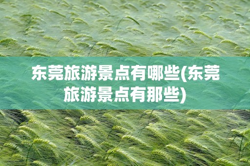 东莞旅游景点有哪些(东莞旅游景点有那些)