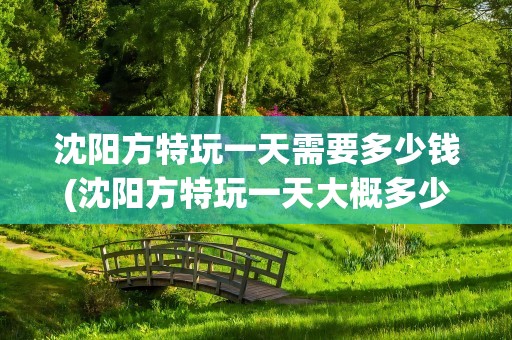 沈阳方特玩一天需要多少钱(沈阳方特玩一天大概多少钱)