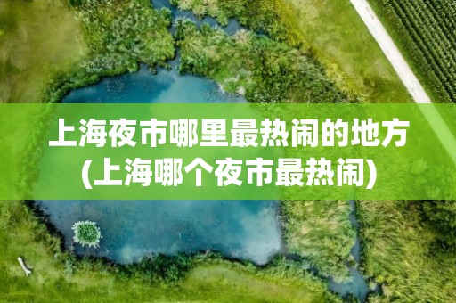 上海夜市哪里最热闹的地方(上海哪个夜市最热闹)