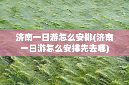 济南一日游怎么安排(济南一日游怎么安排先去哪)