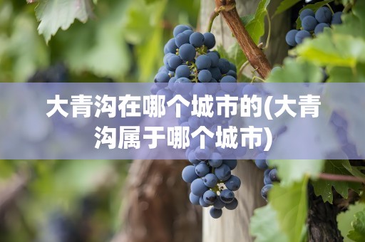 大青沟在哪个城市的(大青沟属于哪个城市)