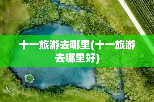 十一旅游去哪里(十一旅游去哪里好)