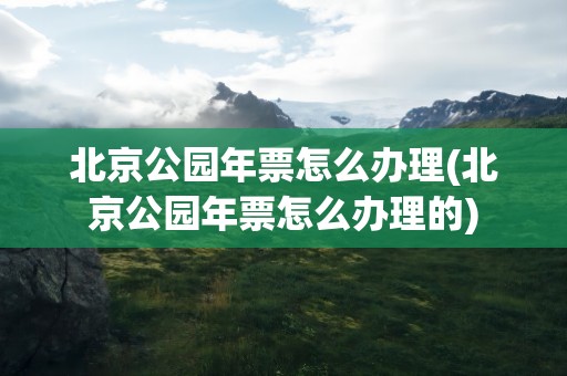 北京公园年票怎么办理(北京公园年票怎么办理的)