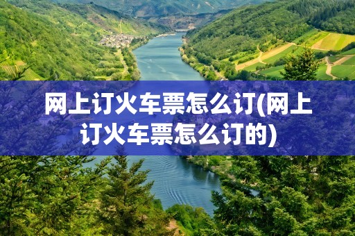 网上订火车票怎么订(网上订火车票怎么订的)