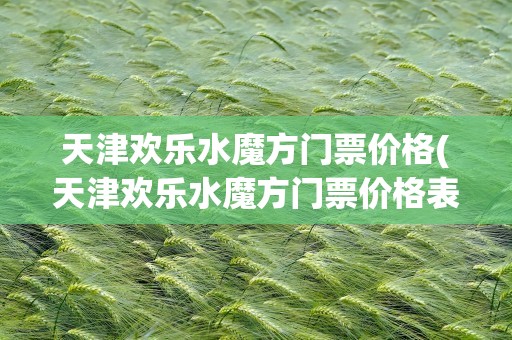 天津欢乐水魔方门票价格(天津欢乐水魔方门票价格表)