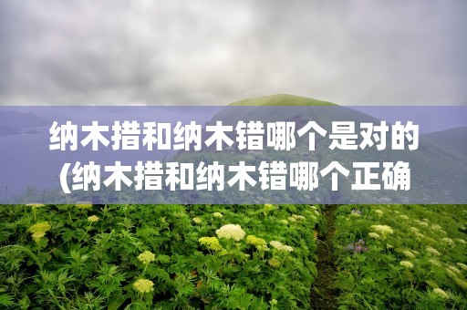 纳木措和纳木错哪个是对的(纳木措和纳木错哪个正确)