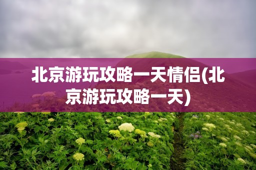 北京游玩攻略一天情侣(北京游玩攻略一天)