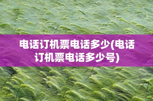 电话订机票电话多少(电话订机票电话多少号)