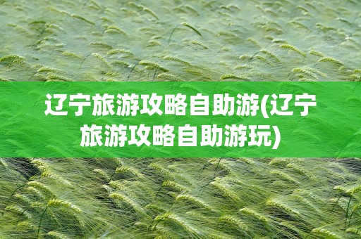 辽宁旅游攻略自助游(辽宁旅游攻略自助游玩)