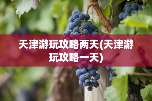 天津游玩攻略两天(天津游玩攻略一天)