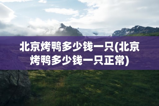 北京烤鸭多少钱一只(北京烤鸭多少钱一只正常)