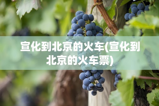 宣化到北京的火车(宣化到北京的火车票)