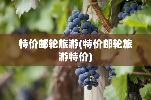 特价邮轮旅游(特价邮轮旅游特价)