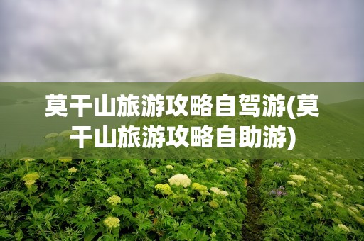 莫干山旅游攻略自驾游(莫干山旅游攻略自助游)