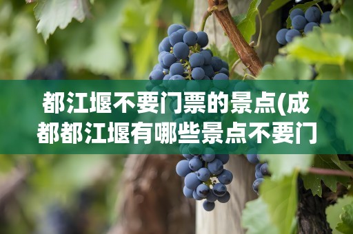 都江堰不要门票的景点(成都都江堰有哪些景点不要门票)