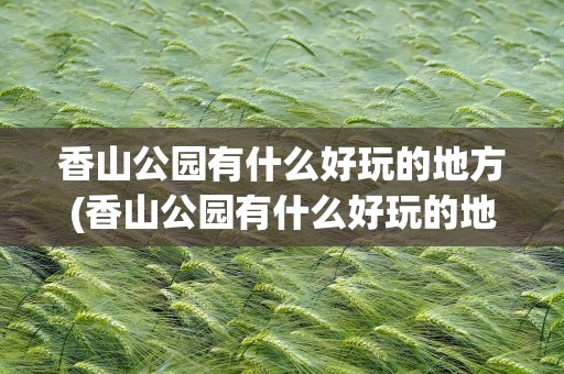 香山公园有什么好玩的地方(香山公园有什么好玩的地方推荐)