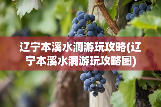 辽宁本溪水洞游玩攻略(辽宁本溪水洞游玩攻略图)