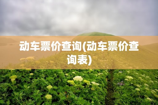 动车票价查询(动车票价查询表)