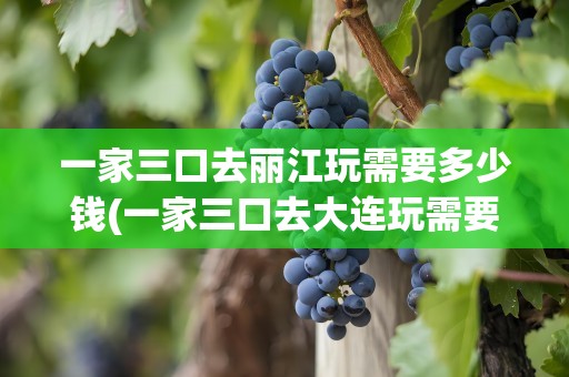 一家三口去丽江玩需要多少钱(一家三口去大连玩需要多少钱)