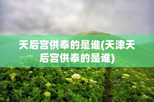天后宫供奉的是谁(天津天后宫供奉的是谁)