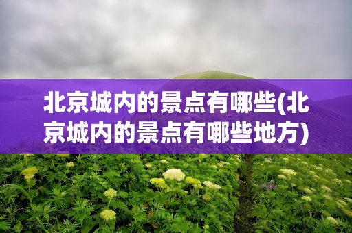 北京城内的景点有哪些(北京城内的景点有哪些地方)