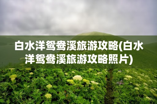 白水洋鸳鸯溪旅游攻略(白水洋鸳鸯溪旅游攻略照片)