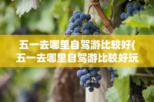 五一去哪里自驾游比较好(五一去哪里自驾游比较好玩)