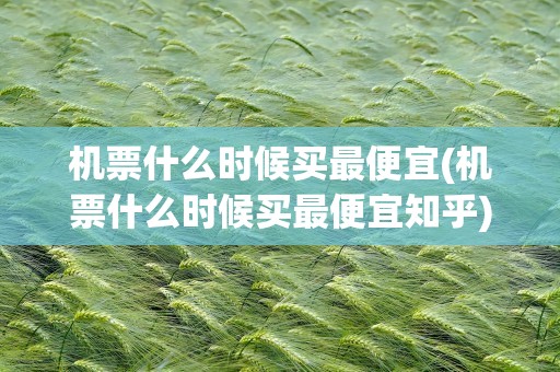 机票什么时候买最便宜(机票什么时候买最便宜知乎)