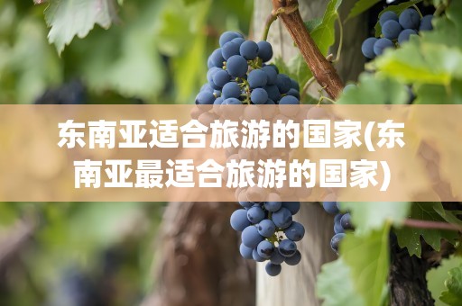 东南亚适合旅游的国家(东南亚最适合旅游的国家)