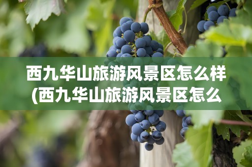 西九华山旅游风景区怎么样(西九华山旅游风景区怎么样好玩吗)