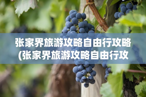 张家界旅游攻略自由行攻略(张家界旅游攻略自由行攻略l)