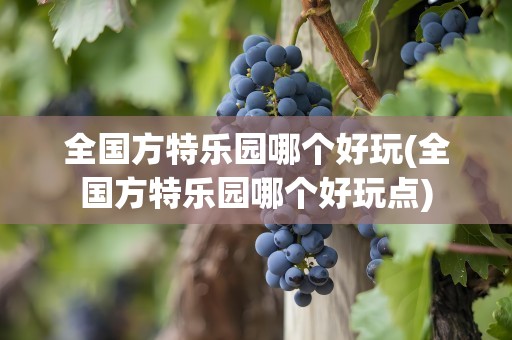 全国方特乐园哪个好玩(全国方特乐园哪个好玩点)