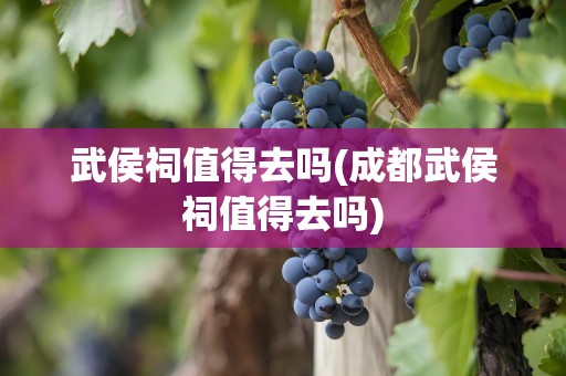 武侯祠值得去吗(成都武侯祠值得去吗)