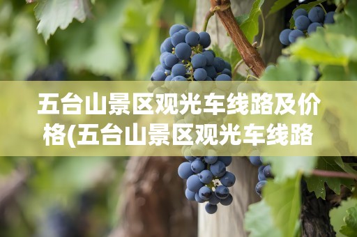 五台山景区观光车线路及价格(五台山景区观光车线路及价格表)
